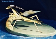 63_praying_mantis